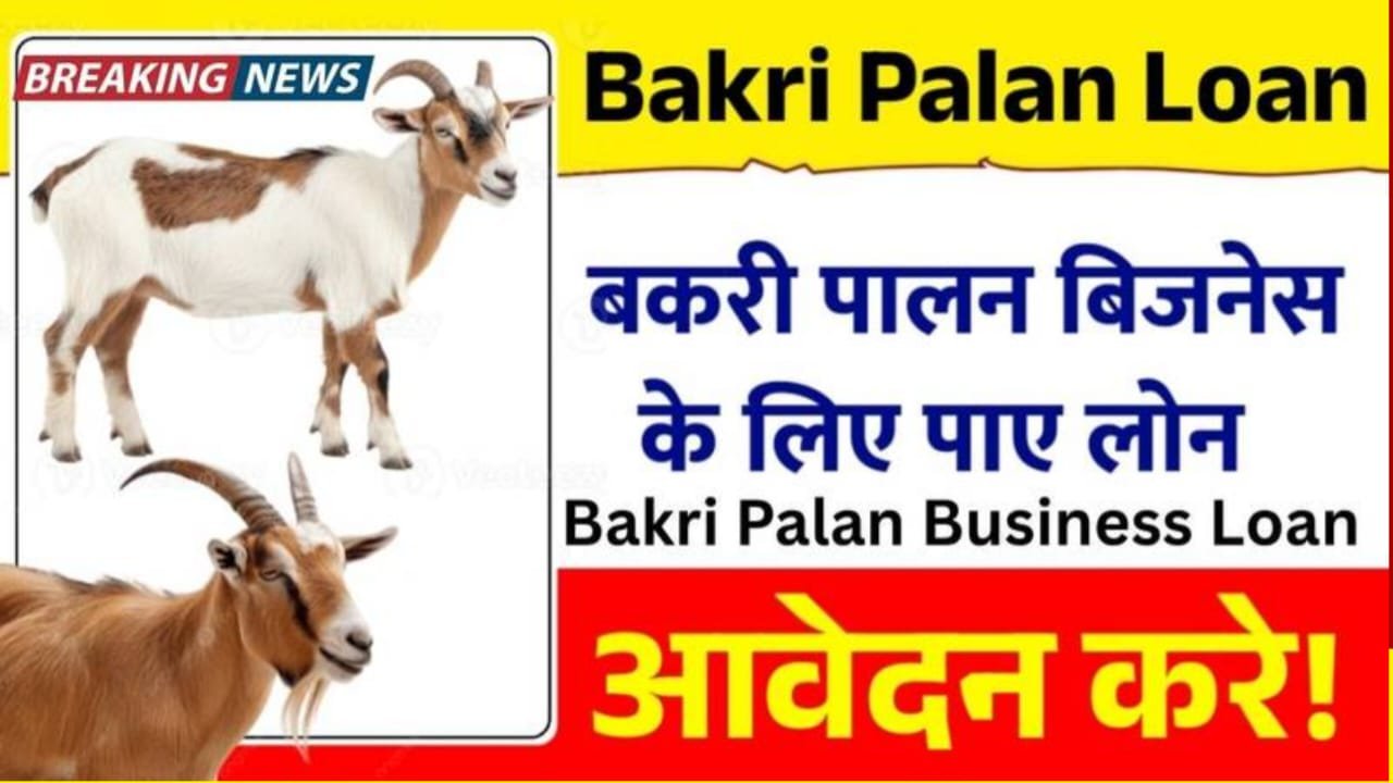 बकरी पालन लोन योजना 2026: कम निवेश में शुरू करें अपना व्यवसाय, सरकार दे रही है ₹2 लाख तक की आर्थिक मदद Goat Farming