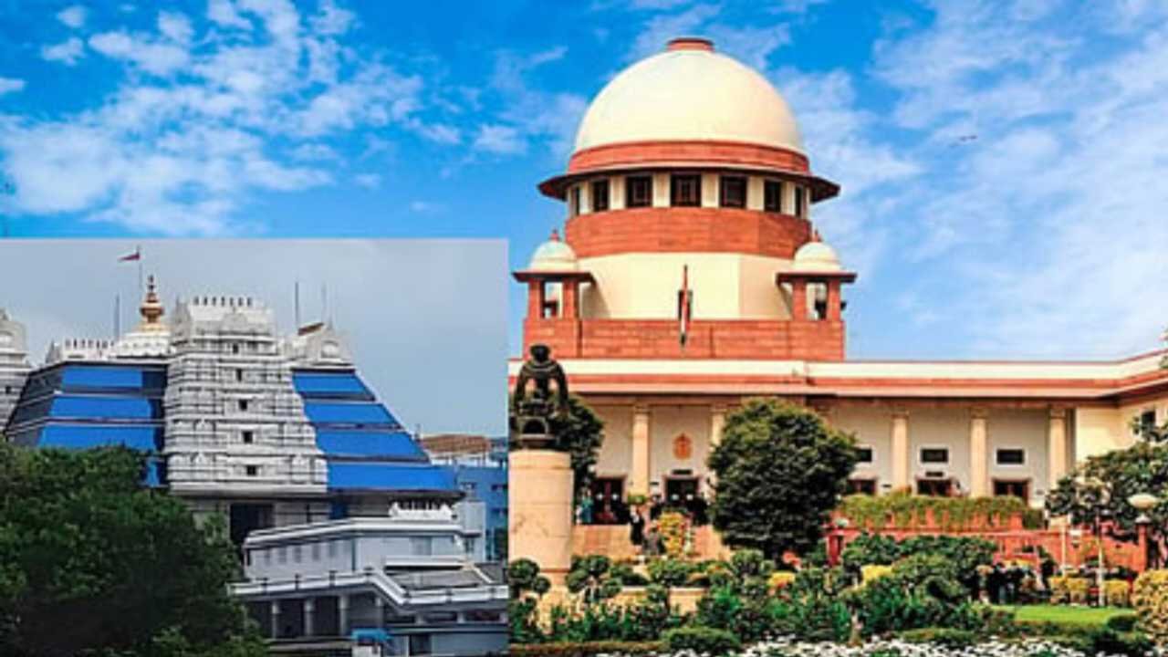 "घर आमचं, हक्क तुमचा!" ज्येष्ठ नागरिकांसाठी ऐतिहासिक निर्णय; मुलांनी घरातून काढले तर आता थेट होणार कारवाई new update gr