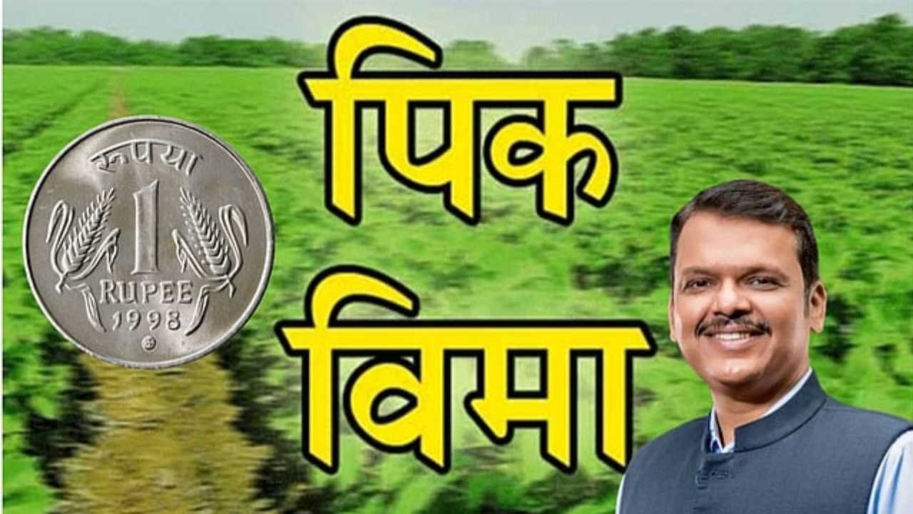 पीक विम्याचे ५० हजार रुपये मिळणार? जाणून घ्या या घोषणेमागील वास्तव आणि पात्रतेचे निकष pik vima 50000